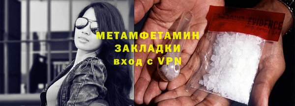 индика Арсеньев