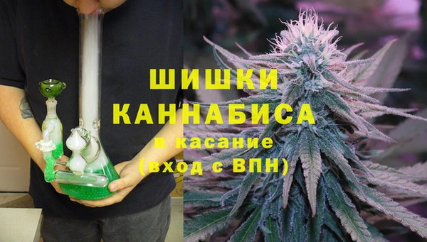 индика Арсеньев
