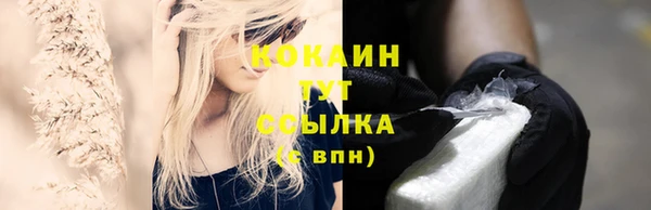 индика Арсеньев
