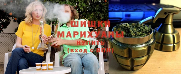 индика Арсеньев