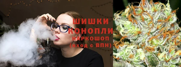 индика Арсеньев