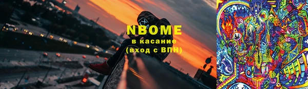 индика Арсеньев