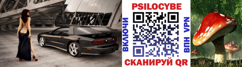 Псилоцибиновые грибы Magic Shrooms  Купить  Ивантеевка 